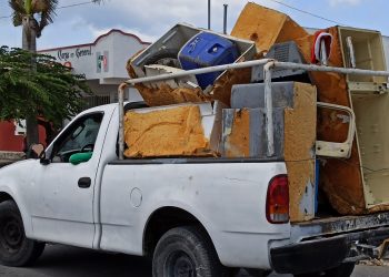 ELIMINAN CRIADEROS DE MOSQUITOS EN COZUMEL