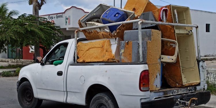 ELIMINAN CRIADEROS DE MOSQUITOS EN COZUMEL