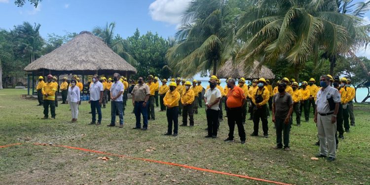 EXTINGUEN INCENDIOS FORESTALES EN QUINTANA ROO