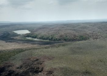 EXTINGUEN INCENDIOS EN EL SUR DEL ESTADO