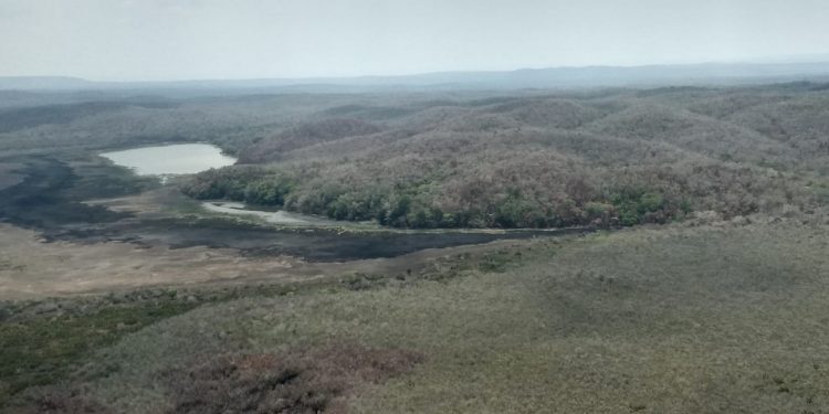 EXTINGUEN INCENDIOS EN EL SUR DEL ESTADO