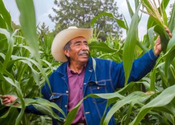PROGRAMAS PRIORITARIOS DE AGRICULTURA IMPACTARÁN EN 14 MILLONES DE PERSONAS DE TERRITORIOS RURALES Y COSTEROS, ANTE EFECTOS DEL COVID-19