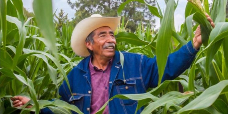 PROGRAMAS PRIORITARIOS DE AGRICULTURA IMPACTARÁN EN 14 MILLONES DE PERSONAS DE TERRITORIOS RURALES Y COSTEROS, ANTE EFECTOS DEL COVID-19