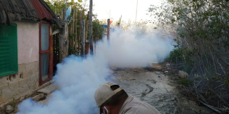 EL H. AYUNTAMIENTO DE LÁZARO CÁRDENAS CONTINÚA LA CAMPAÑA DE FUMIGACIÓN CONTRA MOSQUITOS.