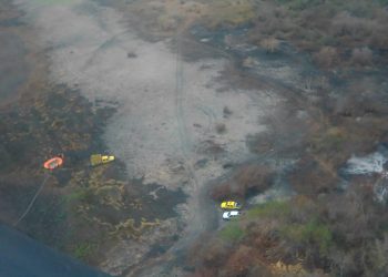 COMPROMETIDO AYUNTAMIENTO DE SOLIDARIDAD CON EL CUIDADO DEL MEDIO AMBIENTE