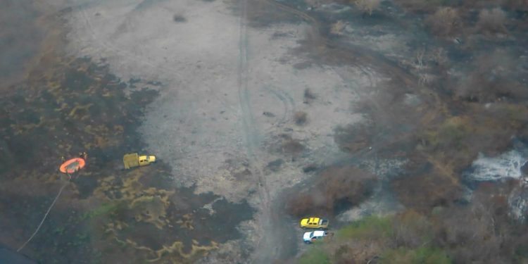 COMPROMETIDO AYUNTAMIENTO DE SOLIDARIDAD CON EL CUIDADO DEL MEDIO AMBIENTE