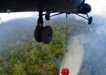EN LO QUE VA DEL AÑO SE HAN REGISTRADO 56 INCENDIOS FORESTALES EN QUINTANA ROO