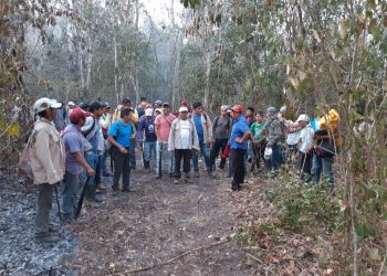 SE COMBATEN 12  INCENDIOS ACTIVOS EN QUINTANA ROO