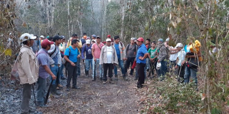 SE COMBATEN 12  INCENDIOS ACTIVOS EN QUINTANA ROO