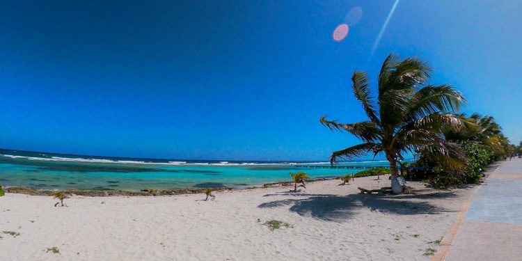 PREPARAN TRAMOS DE BARRERA ANTI SARGAZO EN MAHAHUAL