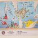 GRAN CONCURSO DE DIBUJO INFANTIL DEL 8° FESTIVAL DE LOS OCÉANOS  A LA VISTA.