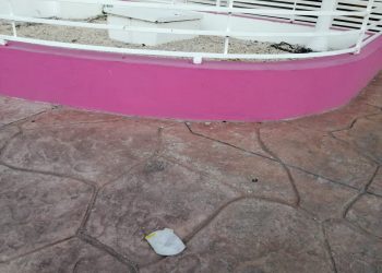 ‘DESCUBREN’ CANCUNENSES NUEVA FORMA PARA ‘FREGAR’ AL PLANETA