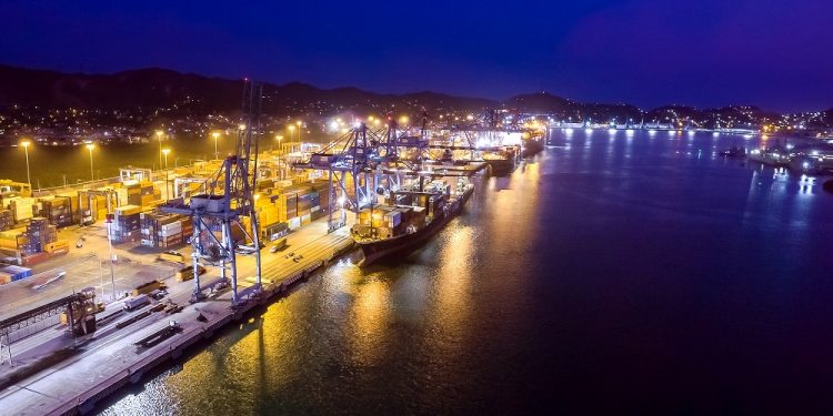 EN LOS PUERTOS, LAS INVERSIONES NO SE VERÁN AFECTADAS POR LA PANDEMIA