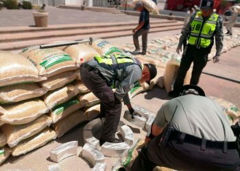 INSPECCIONES DE SEGURIDAD PERMITIERON A GUARDIAS NACIONALES ASEGURAR ALREDEDOR DE 740 KILOS DE APARENTE CRYSTAL DENTRO DE COSTALES DE MAÍZ