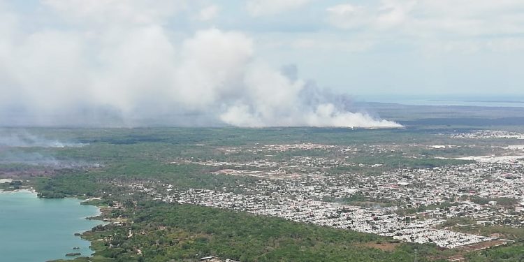 INTENSIFICAN COMBATE CONTRA INCENDIOS FORESTALES