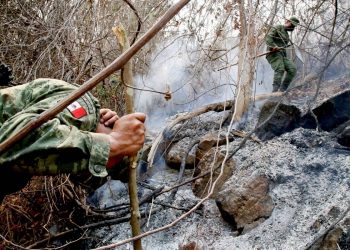 ACTIVAN PLAN DN-III-E PARA COMBATIR INCENDIOS FORESTALES EN 10 ESTADOS