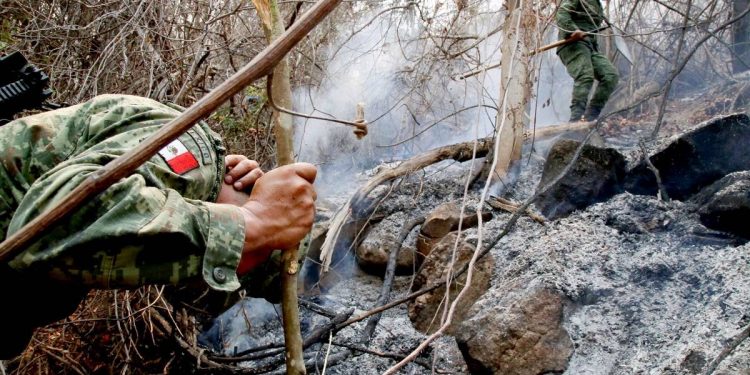 ACTIVAN PLAN DN-III-E PARA COMBATIR INCENDIOS FORESTALES EN 10 ESTADOS