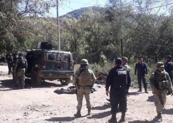 EL NARCOTRÁFICO SE DIVERSIFICA AFECTADO POR LA CRISIS DE COVID-19