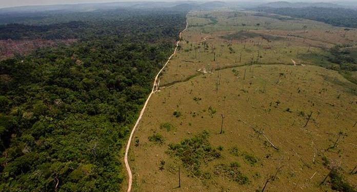 EN ABRIL CRECE DEFORESTACIÓN DE LA AMAZONÍA