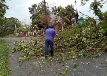 FUERTES VIENTOS PROVOCAN DESPRENDIMIENTO DE TECHOS DE LÁMINA Y CAÍDA DE ÁRBOLES EN TABASCO