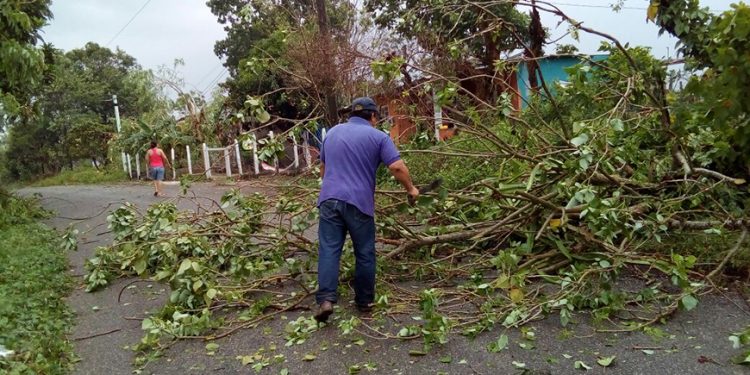 FUERTES VIENTOS PROVOCAN DESPRENDIMIENTO DE TECHOS DE LÁMINA Y CAÍDA DE ÁRBOLES EN TABASCO