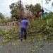 FUERTES VIENTOS PROVOCAN DESPRENDIMIENTO DE TECHOS DE LÁMINA Y CAÍDA DE ÁRBOLES EN TABASCO