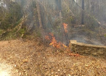 INCENDIOS EN EL SUR DE QUINTANA ROO CONSUMEN 8 MIL HECTÁREAS