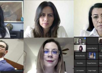 LA CFE NO ESTÁ SIENDO SOLIDARIA CON LA GENTE, ACUSAN PANISTAS