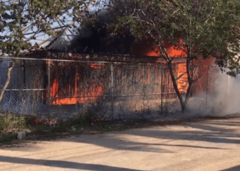INCENDIO EN MÉRIDA CONSUME EL TRABAJO DE 25 AÑOS DE UNA AMBIENTALISTA
