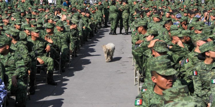 PREOCUPA A LA ONU-DH PARTICIPACIÓN DEL EJÉRCITO EN TAREAS DE SEGURIDAD