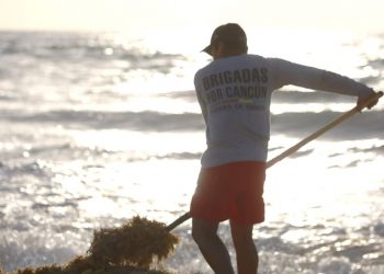 INSTRUYE MARA ATENCIÓN PUNTUAL DE PLAYAS ANTE LLEGADA DE SARGAZO