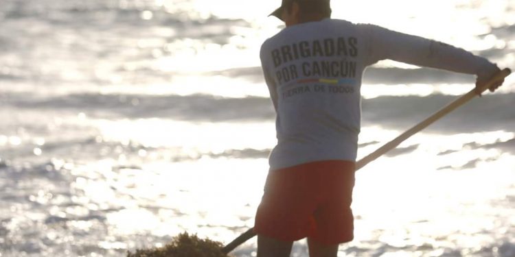 INSTRUYE MARA ATENCIÓN PUNTUAL DE PLAYAS ANTE LLEGADA DE SARGAZO