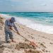 EN UNA SEMANA RETIRAN DE PLAYAS DE CANCÚN CERCA DE 300 TONELADAS DE SARGAZO