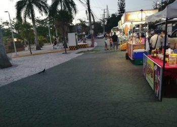 POCO A POCO REGRESA LA ACTIVIDAD A LAS PALAPAS