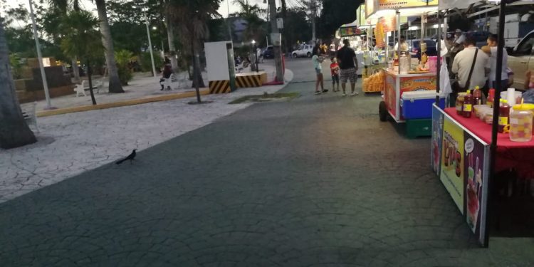 POCO A POCO REGRESA LA ACTIVIDAD A LAS PALAPAS