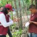 200 MIL SOLIDARENSES BENEFICIADOS CON APOYOS ALIMENTARIOS: LAURA BERISTAIN