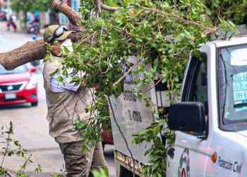 LEVANTAN LO QUE ‘CRISTÓBAL’ DEJÓ A SU PASO POR ISLA MUJERES