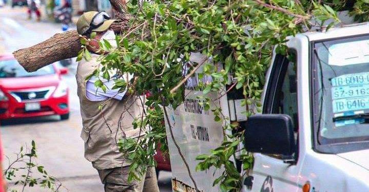 LEVANTAN LO QUE ‘CRISTÓBAL’ DEJÓ A SU PASO POR ISLA MUJERES