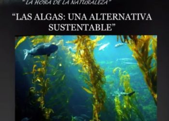 CREAN CONCURSO DE DIBUJO PARA CELEBRAR EL DÍA DEL MEDIO AMBIENTE