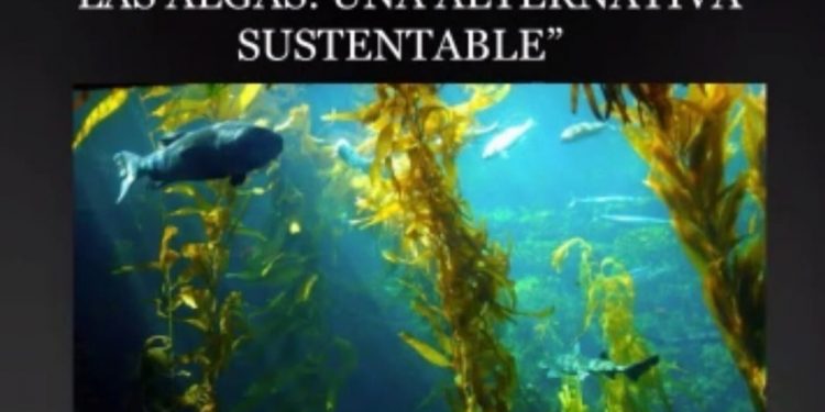 CREAN CONCURSO DE DIBUJO PARA CELEBRAR EL DÍA DEL MEDIO AMBIENTE