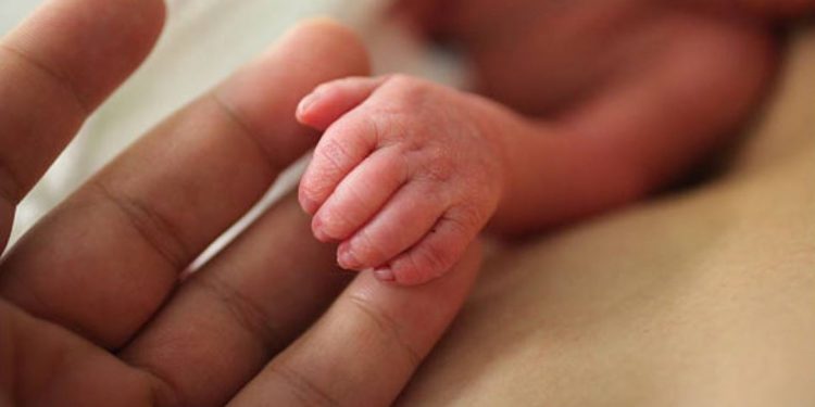 UNA MUJER DIO A LUZ EN LA CARRETERA EN LA CARRETERA POR ESCÁRCEGA CAMPECHE BAJO LA TORMENTA CRISTÓBAL
