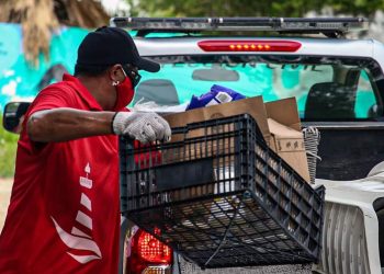 TRABAJA PERSONAL DEL AYUNTAMIENTO ISLEÑO, POR UNA “ISLA MUJERES VERDE Y SALUDABLE”