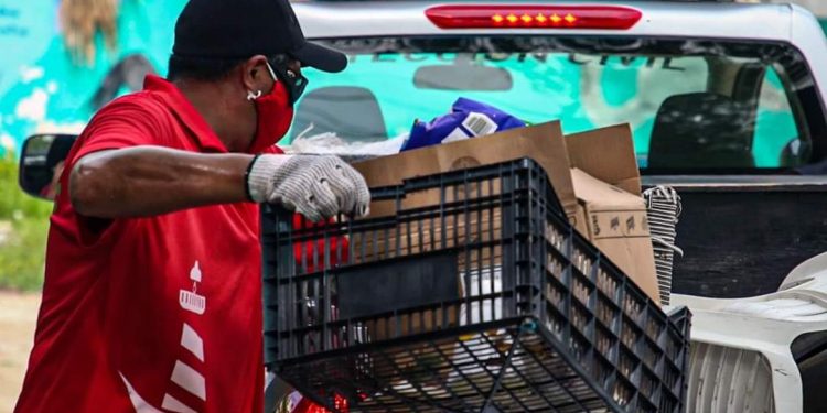 TRABAJA PERSONAL DEL AYUNTAMIENTO ISLEÑO, POR UNA “ISLA MUJERES VERDE Y SALUDABLE”