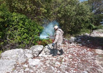 REFUERZA SOLIDARIDAD COMBATE AL DENGUE, ZIKA Y CHINKUNGUNYA