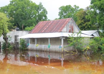 EL GOBIERNO DE QUINTANA ROO HA ENTREGADO MÁS DE OCHO MIL DESPENSAS A FAMILIAS AFECTADAS POR LLUVIAS