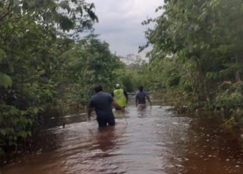 ADMINISTRACIÓN DE SOFÍA ALCOCER RESCATA FAMILIAS DE LAGARTOS QUE QUEDARON INCOMUNICADOS POR INUNDACIONES