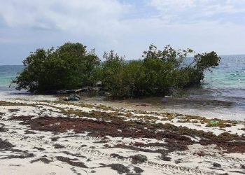 LA «ISLA MISTERIOSA» RECALA EN COSTA MUJERES; DEDUCEN ES UNA EMBARCACIÓN DE ILEGALES