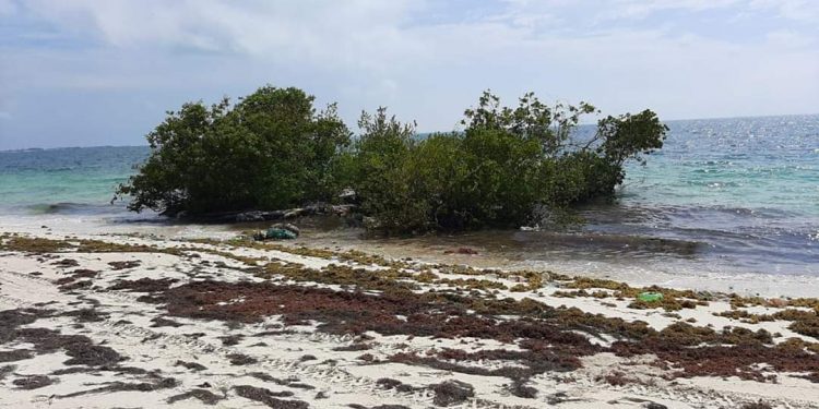 LA «ISLA MISTERIOSA» RECALA EN COSTA MUJERES; DEDUCEN ES UNA EMBARCACIÓN DE ILEGALES