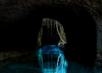 PROTECCIÓN CIVIL DE SOLIDARIDAD AUTORIZA EL USO DE CENOTES Y ALBERCAS AL 30% DE CAPACIDAD