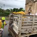 EVALÚA SOFIA ALCOCER COMUNIDADES AFECTADAS POR TORMENTA AMANDA